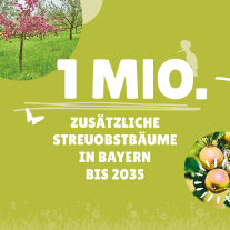 Streuobstpaktlogo mit Schriftzug 1 Million zusätzliche Streuobstbäume in Bayern bis 2035