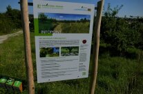 Infoschild auf dem Streuobstlehrpfad Weihenstephaner Berg Freising.