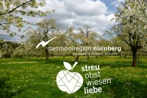 Das Logo des Projektes Streuobstwiesenliebe vor dem Hintergrund einer Streuobstwiese.