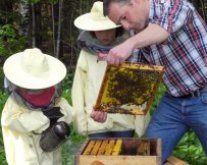 Mann und zwei Kinder an einem Bienenstock mit Waben