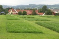 Grünlandversuchsparzellen auf dem Spitalhof in Kempten.