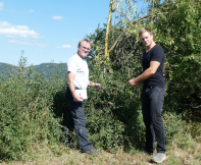 zwei Männer vor einer strukturierten Hecke