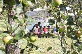 Lernen auf der Streuobstwiese, Foto: LfL