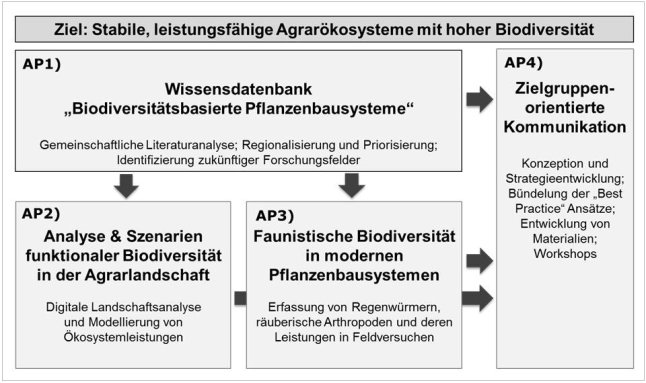 Zielstellung, Inhalte und Zusammenwirken der einzelnen Arbeitspakete im Projekt