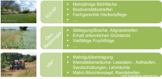 Schema des Werkzeugkasten der Wildlebensraumberatung