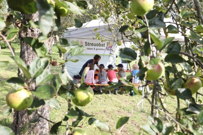 Lernen auf der Streuobstwiese, Foto: LfL