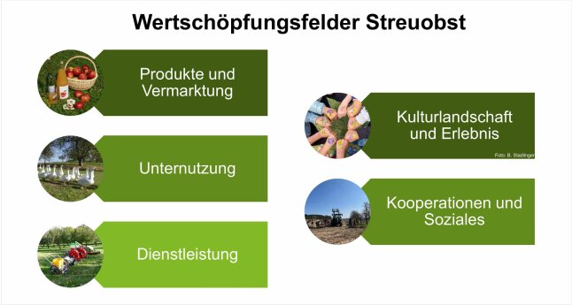 Wertschöpfungspotenziale Streuobst