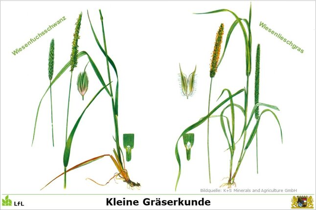 Bayerische Landesanstalt für Landwirtschaft LfL