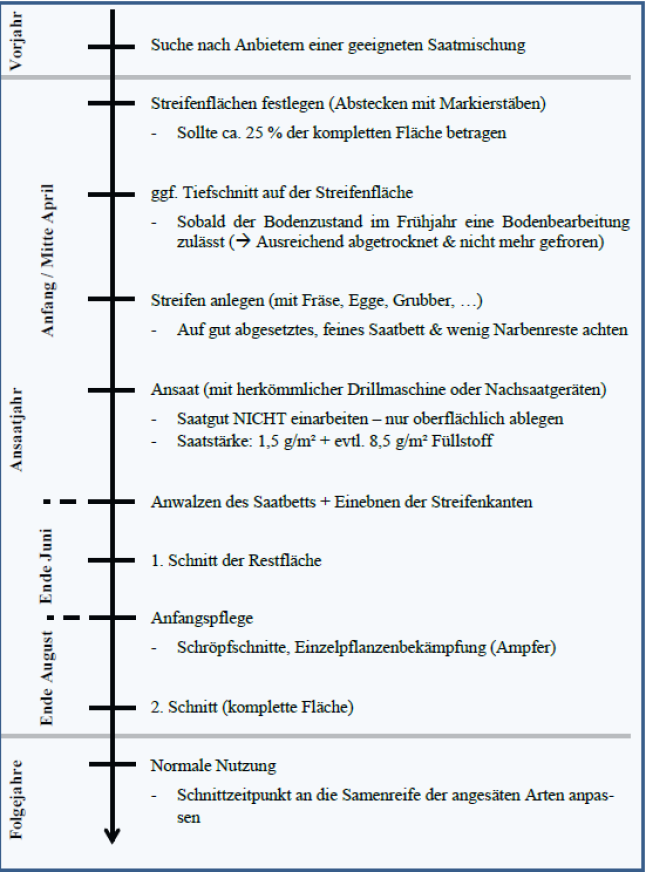 Grafik