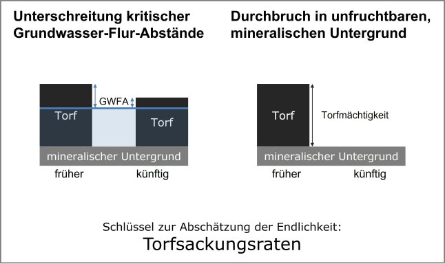 schematische Darstellung 