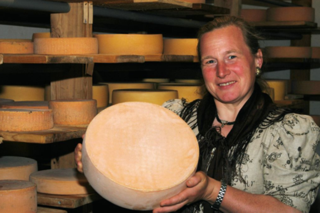 Frau präsentiert einen Laib Käse vor einem mit Käselaiben gefüllten Regal