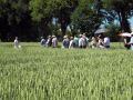 Eine Gruppe von Menschen schaut sich ein Feld an