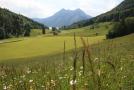 Blick über die Wiese von Familie Oswald auf den Walchensee.