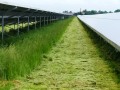 Mahd-Mulch-Wechsel zwischen Photovoltaikanlagen