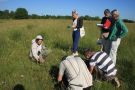 Wiesenmeisterschaft 2017:Die Jury unterwegs