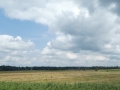 Landschaft mit Wiesen und Niedermoorflächen ohne Hecken