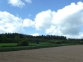 Landschaft mit Acker, Wiesen und wenigen Sträuchern