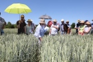 Eine Gruppe von Menschen schaut sich ein Feld an