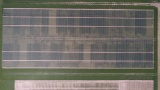 Luftbild des Weizenversuchs am ersten Standort am 27.06.2019