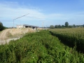 Baustelle einer Straßenbrücke an einem Maisfeld