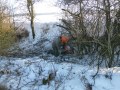 Person arbeitet im Winter mit einer Motorsäge in einer Hecke