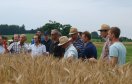 Gruppe von Landwirten bei einer Feldfuehrung reifes Sommergetreide im Vordergrund