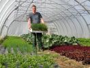 Robert Reichlmayr im Gewächshaus, eine Kiste Schnittlauch tragend