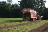 Ausbringung von frischem Mahdgut auf der vorbereiteten Empfängerfläche mit einem Ladewagen