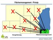 Prinzip Populationslenkung