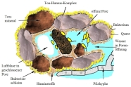 Gezeichnetes Modell eines Bodenaggregatsmit Ton-Humus-Komplex, Tonmineral, Pilzhyphe usw.