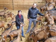 Maria und Günter Deß inmitten ihrer Ziegenherde