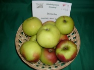 Alte Streuobstsorte "Brettacher"