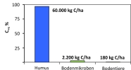 Das Balkendiagramm zeigt, dass Humus 60.000 kg Kohlenstoff pro Hektar bindet. Auf Bodenmikroben entfallen 2.200 kg C pro ha, auf Bodentiere 180 kg C pro ha.