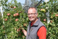 Stefan Büchele inmitten seiner Apfelplantage.