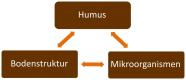 Schaubild zum gegenseitigen Einfluss von Humus, Bodenstruktur und Mikroorganismen