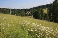 Mähweide mit weiß blühenden Mageriten mit Blick auf die Grenzmühle