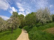 Streuobst-Erholungslandschaft