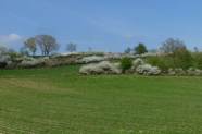 Feldlandschaft mit Hecken