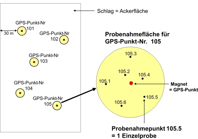 Schematische Darstellung verschiedener GPS-Punkte auf einer Ackerfläche. Ein GPS-Punkt ist im Detail mit entsprechenden Einzelproben dargestellt.