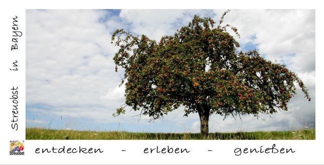 Postkarte Apfelbaum