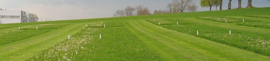 Versuchsflächen Grünland