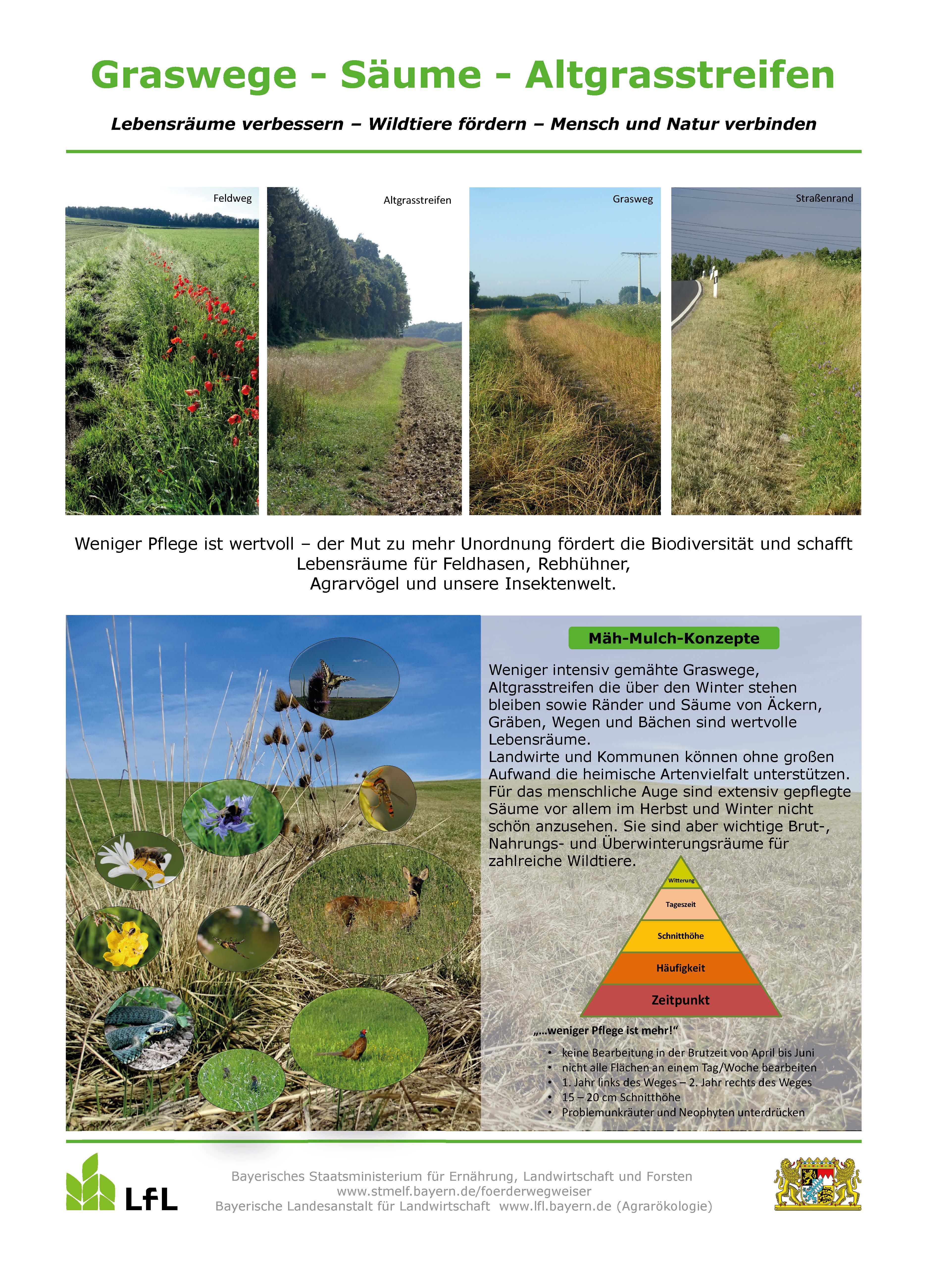 Schild Blühfläche für Artenvielfalt / Landwirtschaft und Naturschutz mit  Rebhuhn & Feldhamster