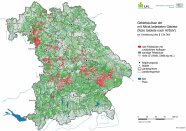 Karte von Bayern: die mit Nitrat belasteten Gebiete nach AV DüV sind rot eingefärbt.