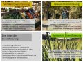 4 Bilder in einem Bild. Jeweils mit Text. Bild 1: Lebensmittelladen. Text: Vertikale Diversifizierung. Neue Betriebszweige innerhalb der Wertschöpfungskette. Beispiele: Verarbeitung landwirtschaftlicher Produkte oder Direktvermarktung. Bild 2: 4 Männer fahren auf einem Traktor. Text: Laterale Diversifizierung. Neue Betriebszweige, die keinen oder wenig Bezug zur bisherigen Produktion haben. Beispiele: Urlaub auf dem Bauernhof, Photovoltaik, Vermietung von Gebäuden. Bild 3: nur Text: Drei Arten der Diversifizierung. Diversifizierung, oder auch Einkommenskombination bedeutet für Betriebsleiterfamilien die Erweiterung oder Ergänzung der landwirtschaftlichen Erwerbstätigkeit um zusätzliche, betriebsgebundene Unternehmertätigkeiten und die Gründung neuer Betriebszweige. Bild 4: Weizenfeld vor der Blütereife. Text: Neue Produkte auf gleicher Wirtschaftsstufe. Beispiele: diversifizierte Fruchtfolge mit neuen Früchten wie z.B. Kräuter.