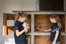 Zwei Kinder füttern Kaninchen im Stall im Karotten.