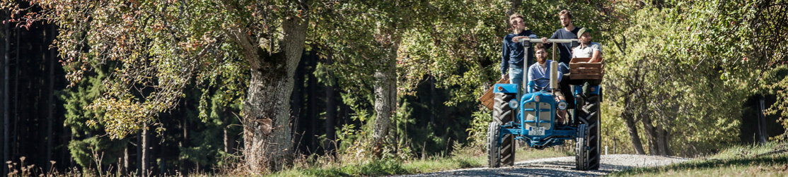 Männer bei einer Traktorfahrt auf einer Schotterstraße durch den Wald