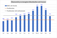 Balkendiagramm: Bullenmast - Direktkostenfreie Leistung mit Grundfutter und Festkosten