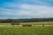 Reisebus fährt über eine sonnige Landstraße.