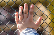 Die Hand eines Kleinkinds stützt sich an einem Maschendrahtzaun ab.