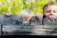 Die Köpfe zweier Jungen im Vorschulalter spitzen über einen Holzzaun.
